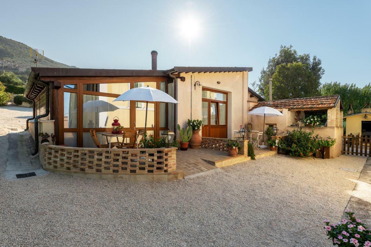 Farm stay Monte Cologna *