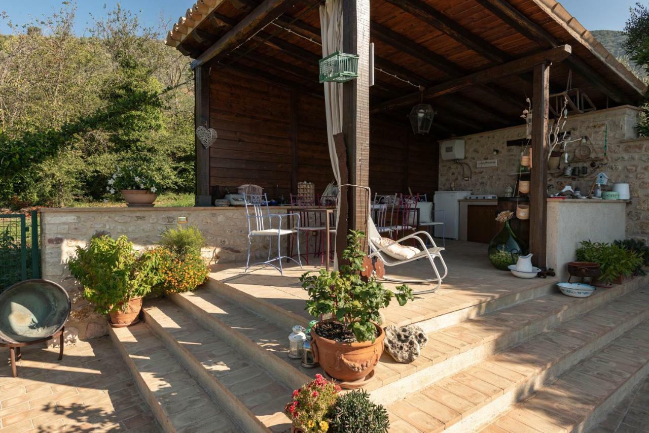 Monte Cologna Farm stay *